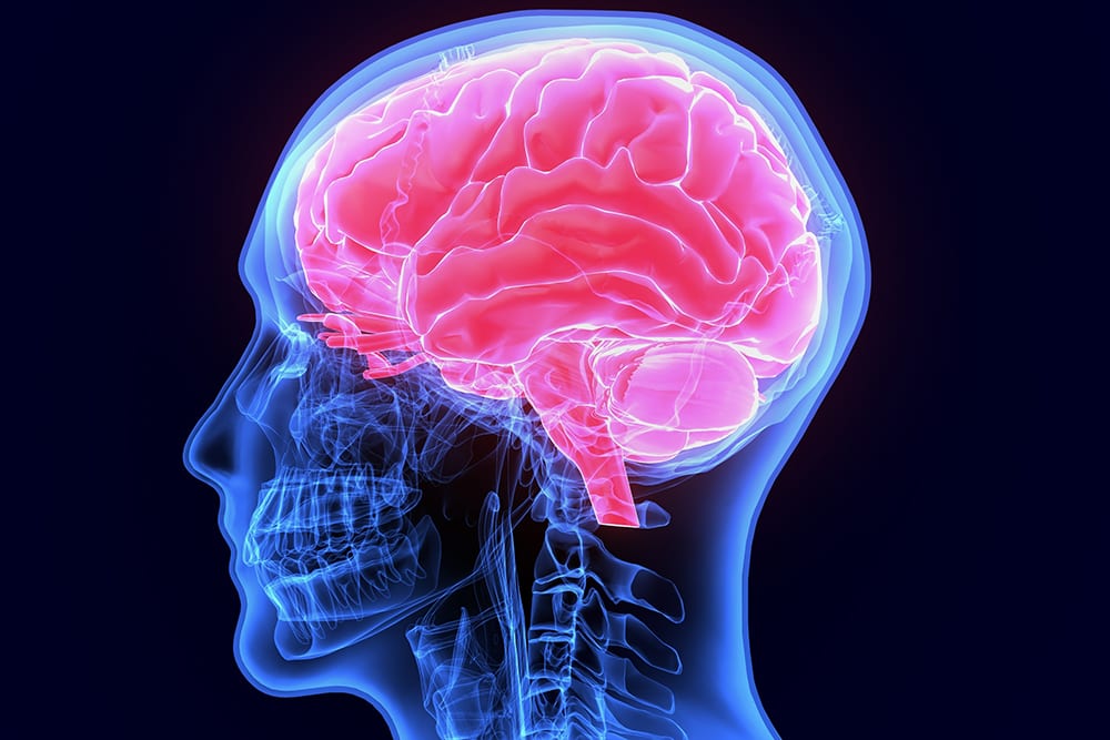 Change Your Mood & Behavior with Brain Based Therapy